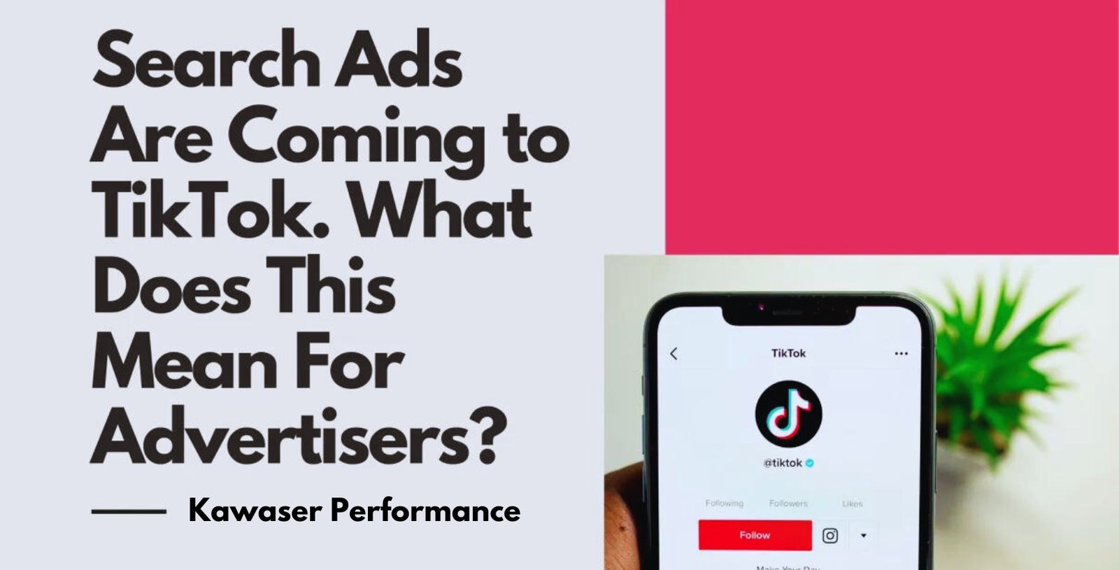 TikTok Search Ads: The New Social Media Search